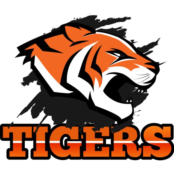 TIGERS BB Thumbnail